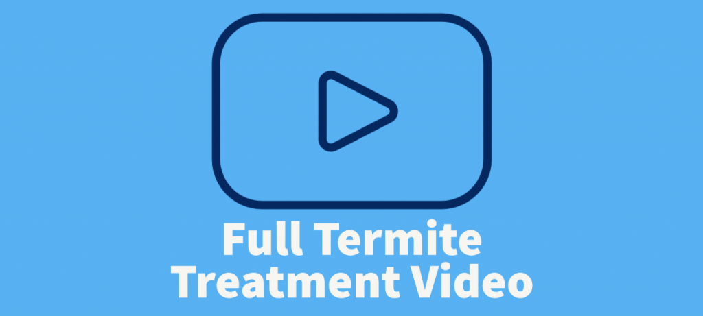 termite treatment video