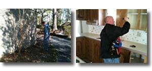 Pest Control Service for Raleigh NC, Raleigh Pest Control
