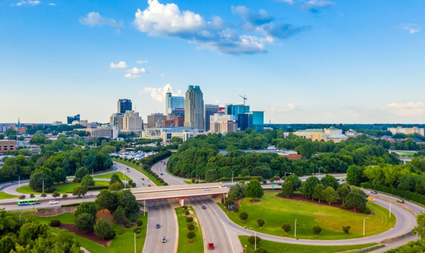 How Much Does Pest Control Cost in Raleigh, NC?