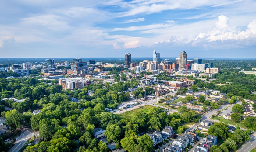 Best Pest Control Company in Raleigh: What Homeowners Should Look For