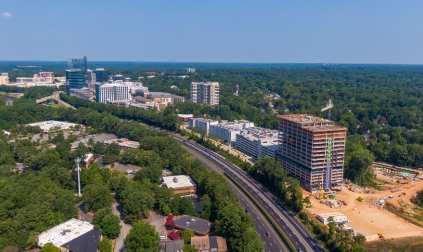 Why Pest Problems Are So Common in the Triangle Area