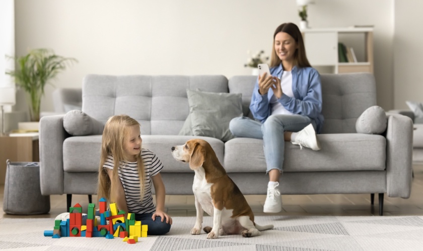 Are Pest Control Treatments Safe for Kids and Pets in Raleigh?